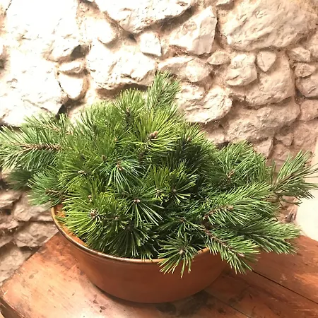 Biohotel Kurz * Berchtesgaden