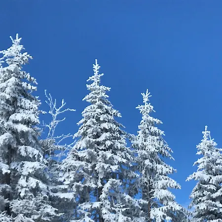 Biohotel Kurz 酒店