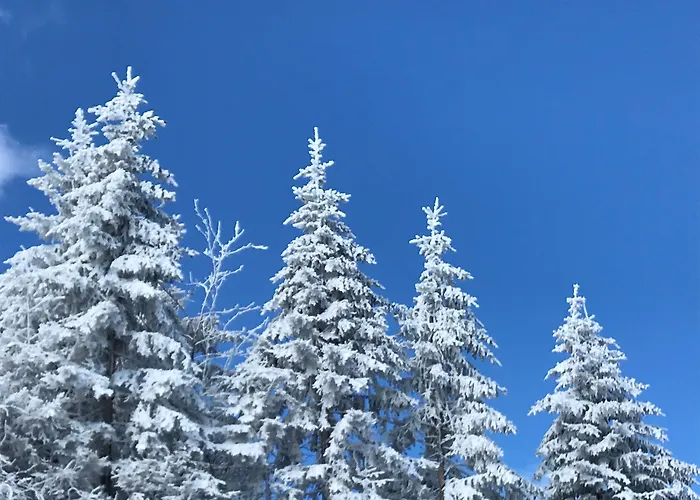 Biohotel Kurz Hotell